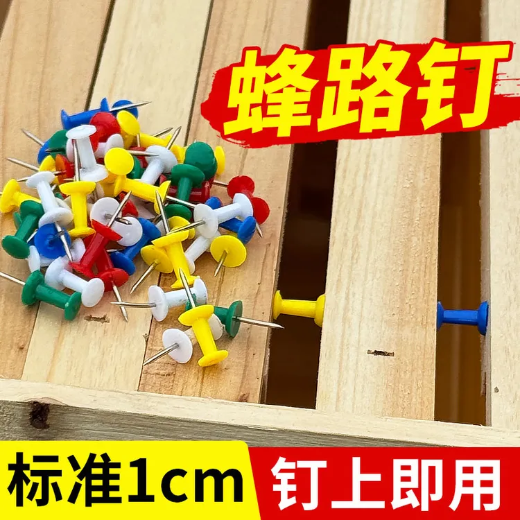 中蜂蜂路钉巢框间距固定钉中蜂巢脾间距钉蜂箱转场固定钉巢框钉