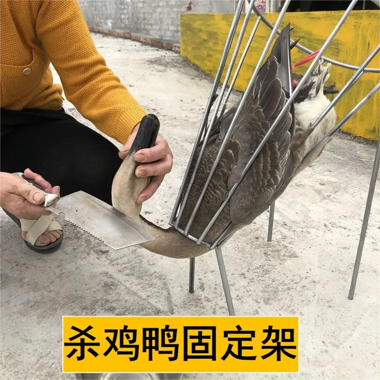 杀鸡神器 杀鸡架放血固定架宰鸡杀鸡固定架家用实用工具杀鸡鸭