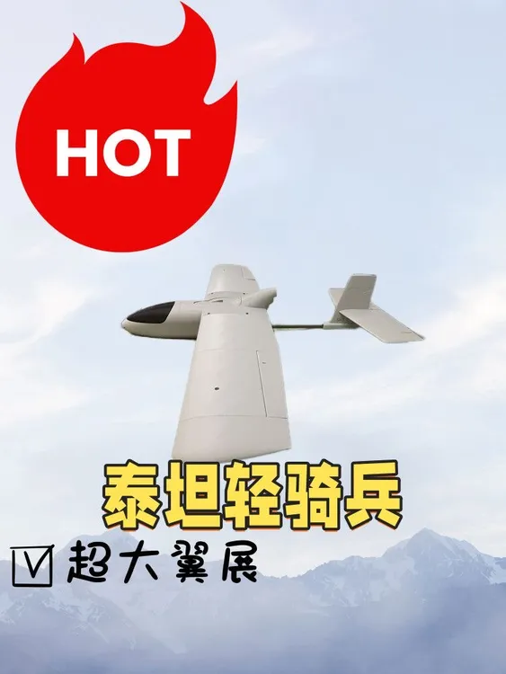 3D打印航模固定翼泰坦轻骑兵 