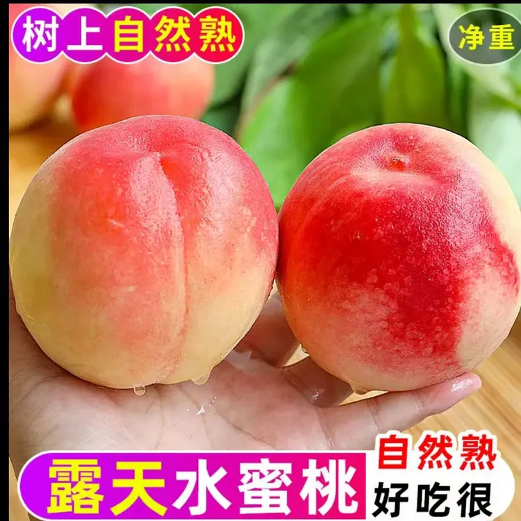 山西水蜜桃新鲜现摘鲜甜多汁水果新鲜脆水果T1