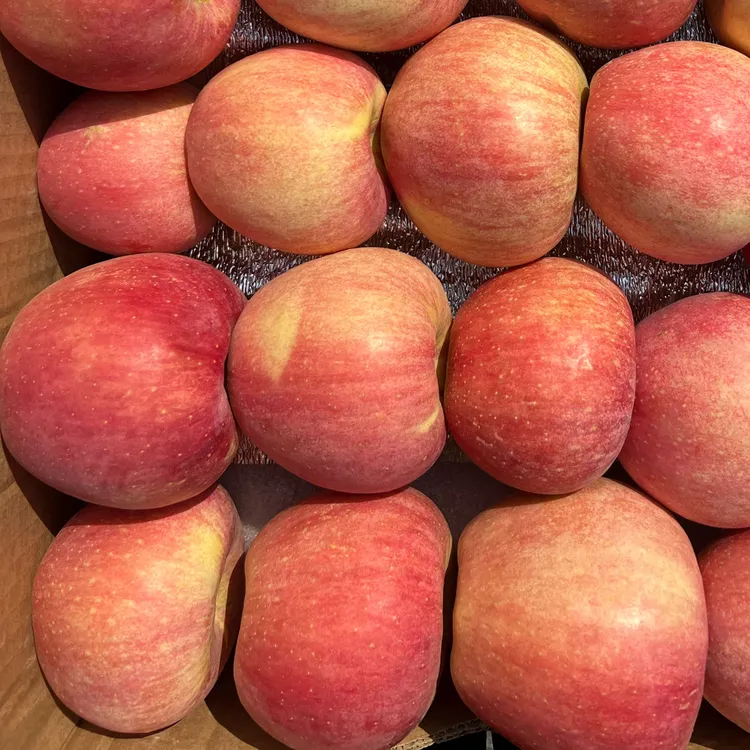 9.5-9.7斤大山里东北寒富苹果水果新鲜当季整箱红脆应季现季苹果