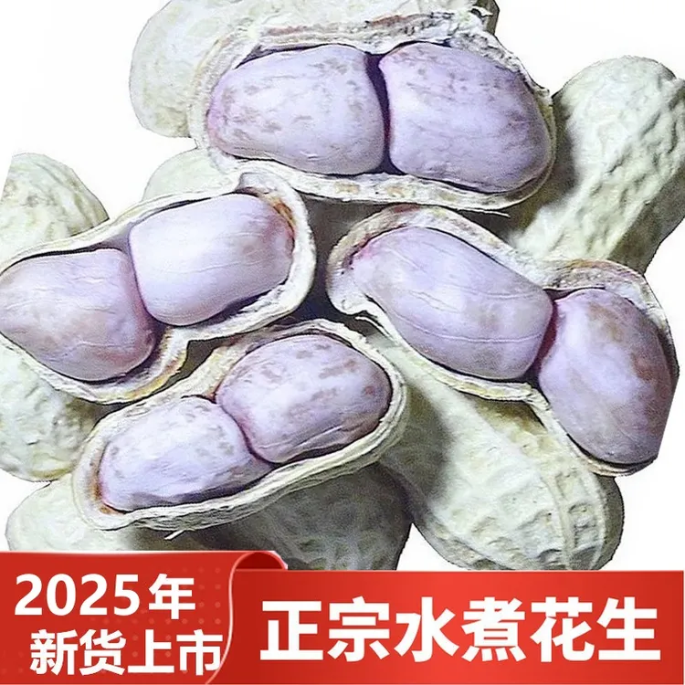 瑾韵2025年新货农家水煮花生咸干晒干盐水花生咸味（香韧有嚼劲）