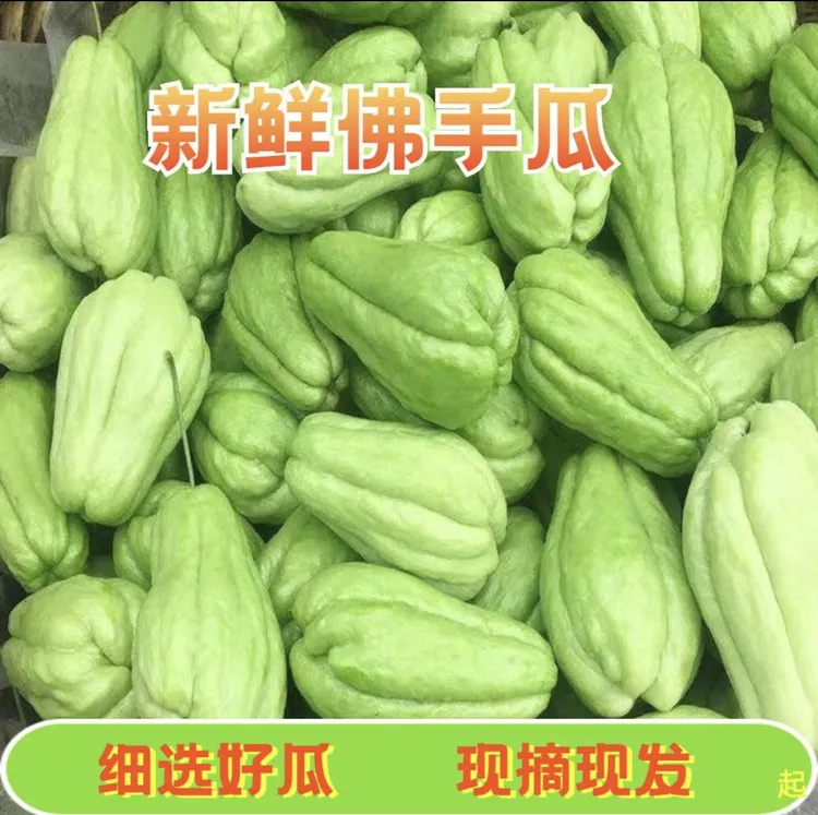 农产品佛手瓜自产佛手瓜