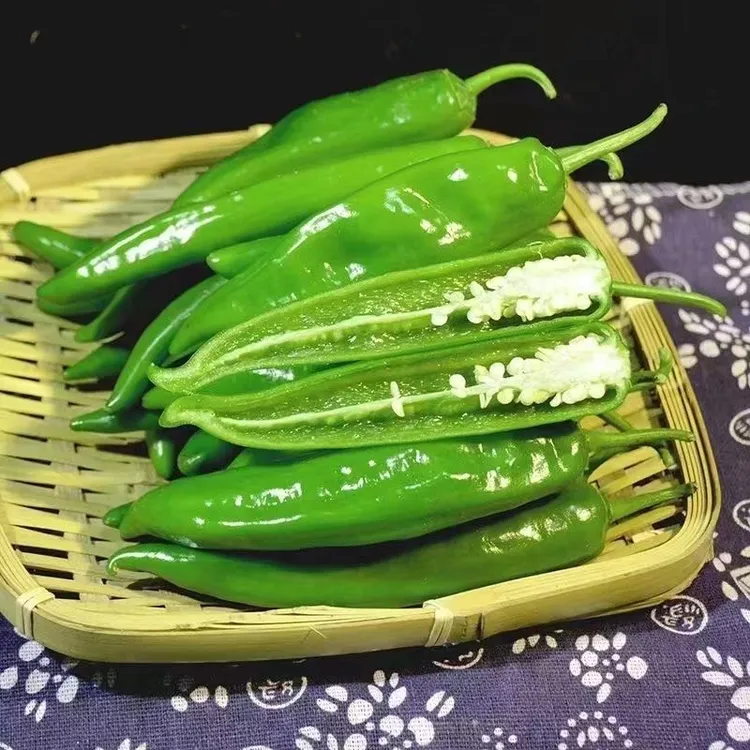 软皮香辣湖南品种香研55号香辣型软香辣新鲜肉嫩新鲜尖椒3斤5斤