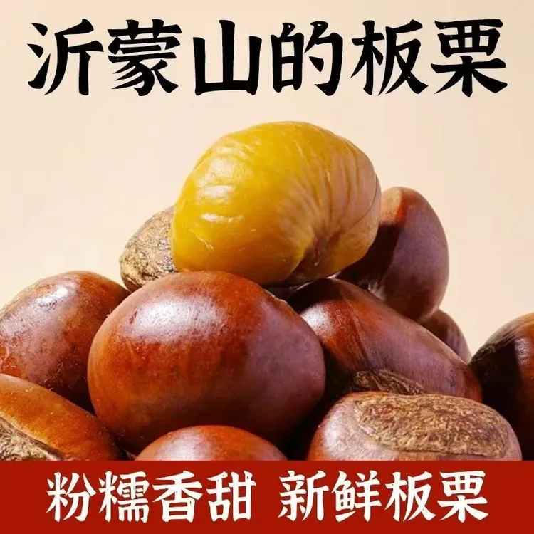正宗沂蒙山区老树油栗子，2025新鲜板栗现摘现发，软糯香甜果农直发