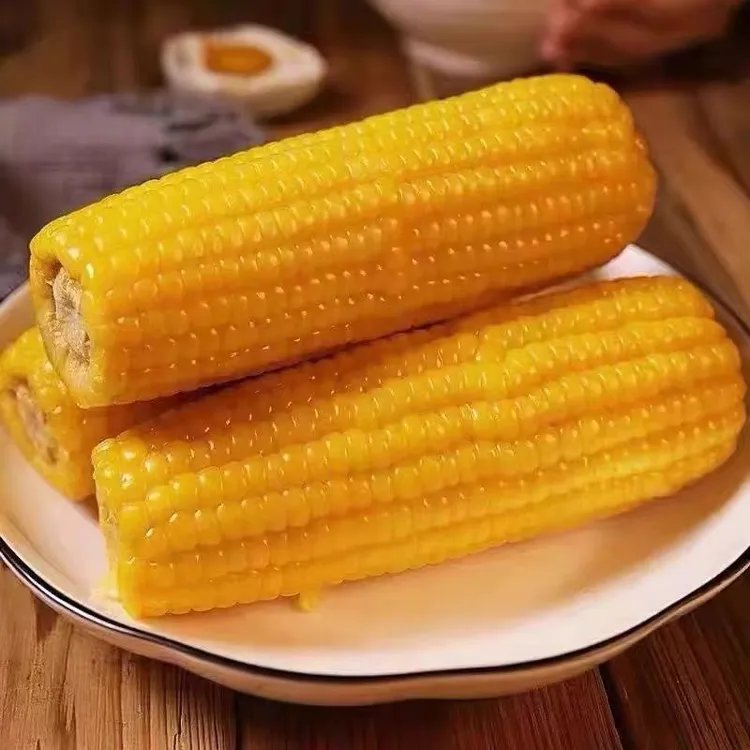 （试吃2根）正宗黄糯玉米东北220克左右/根10根一箱5