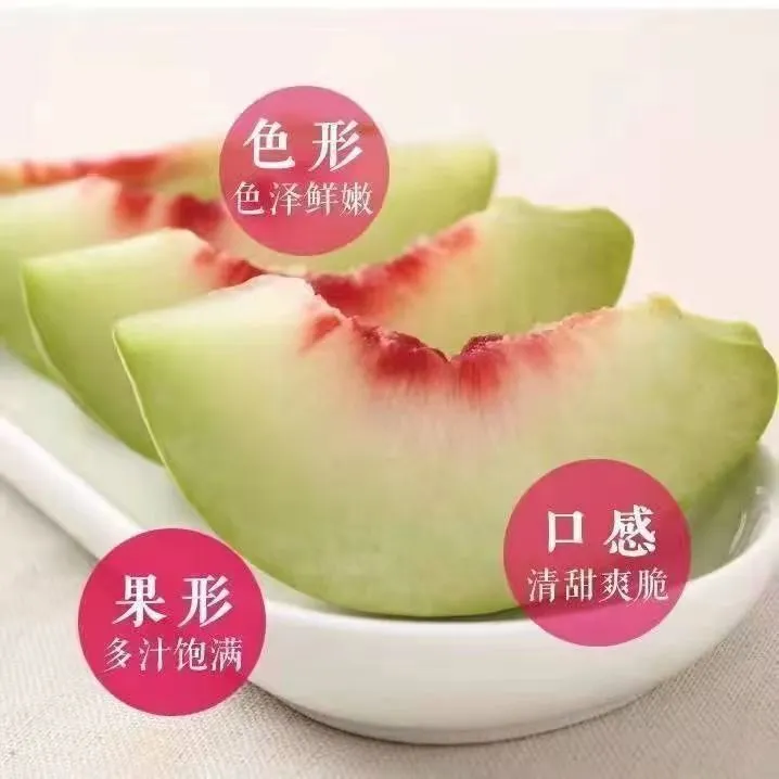 山东潍坊正宗老品种小毛桃青州蜜桃小青桃甘甜香甜孕妇水果