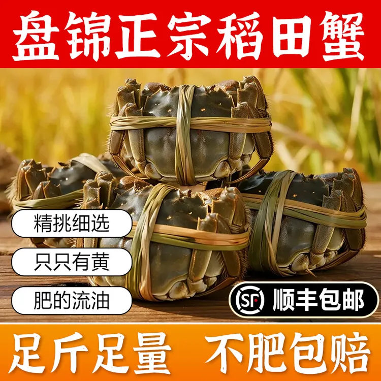 盘锦河蟹 全母河蟹生鲜活蟹 单只1.3~1.5两母 到手2斤盘锦河蟹 