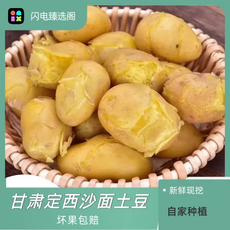 【顺丰包邮不面包赔】甘肃定西高山原产地粗麻皮黄心土豆  现挖现发