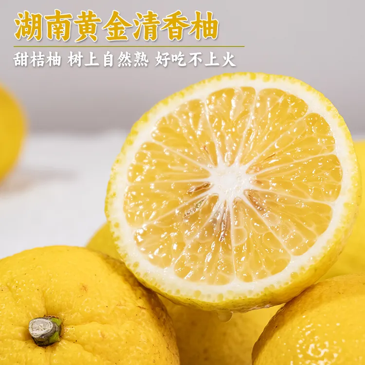 每天水果优选湖南黄金清香柚当季新鲜清甜整箱包邮
