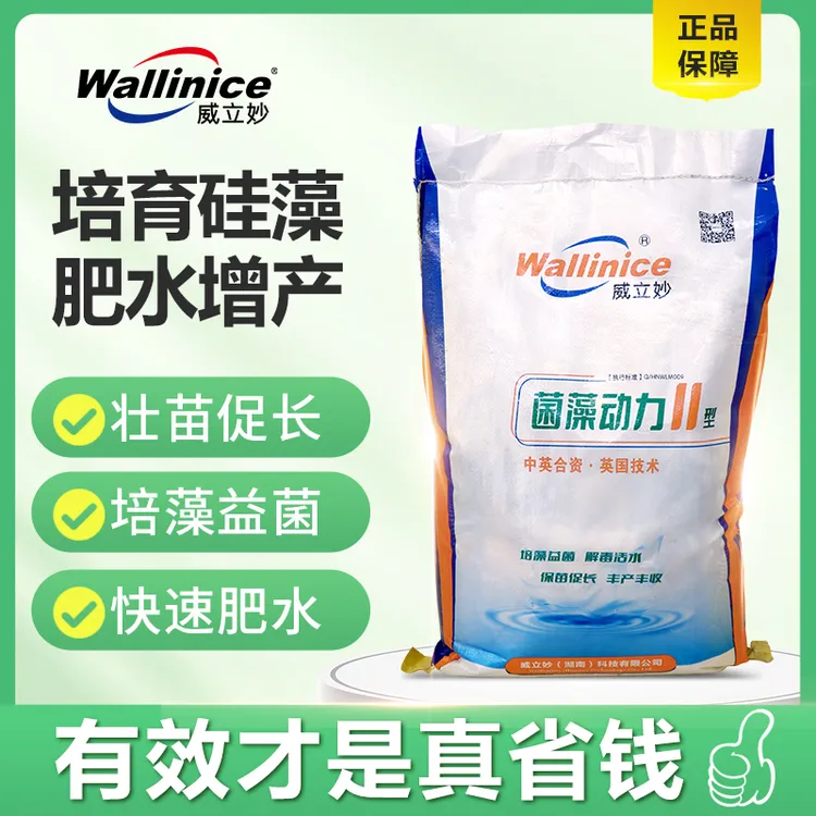 菌藻动力II青苔硅藻种硅藻藻种肥水产品肥水膏硅藻种水产养殖专用