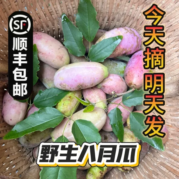当季新鲜水果现摘软糯香甜野生少籽八月瓜顺丰包邮