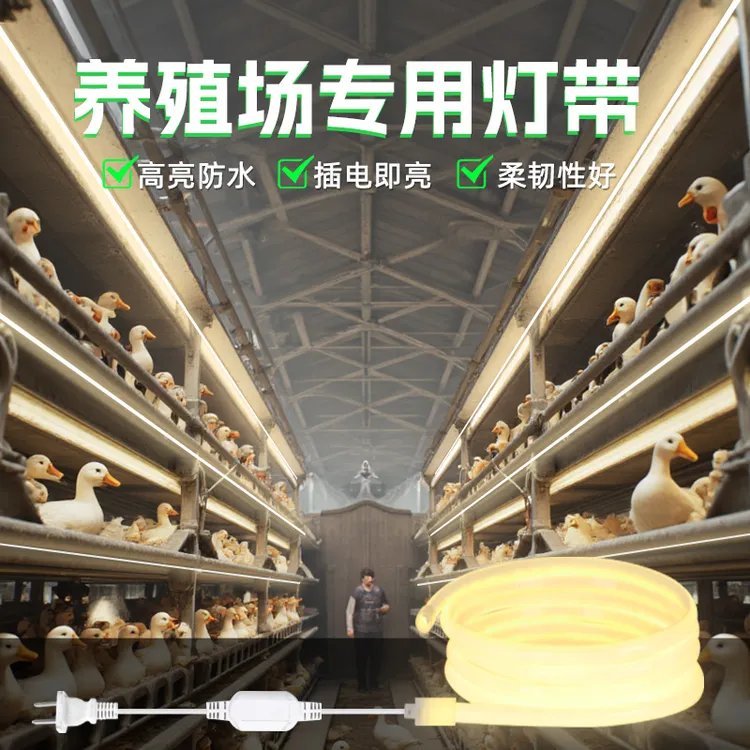 大棚养殖场专用灯带户外防水220v超亮鸡舍工程工地隧道亮化暖光灯