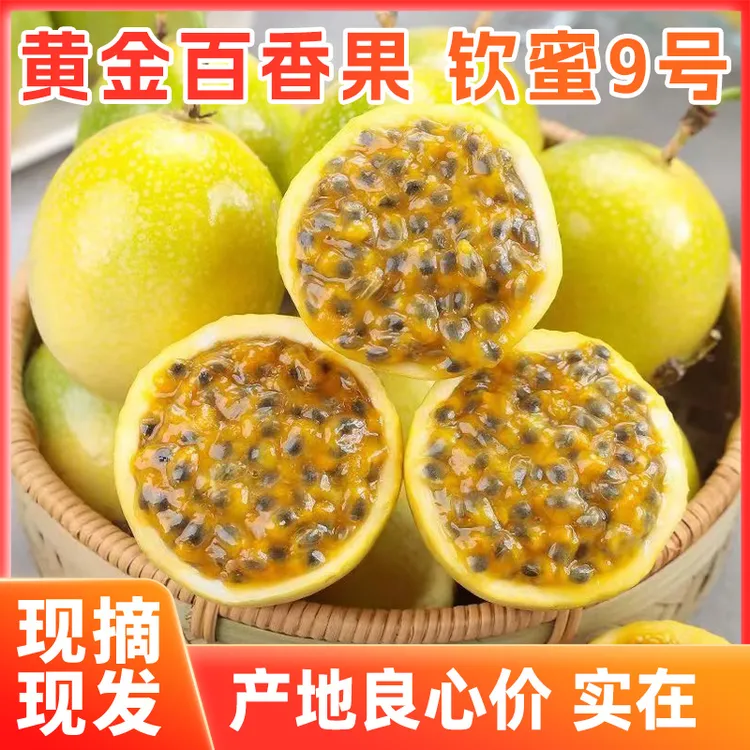 现摘钦密9号黄金百香果产地直发水果茶百搭低卡水果吃法