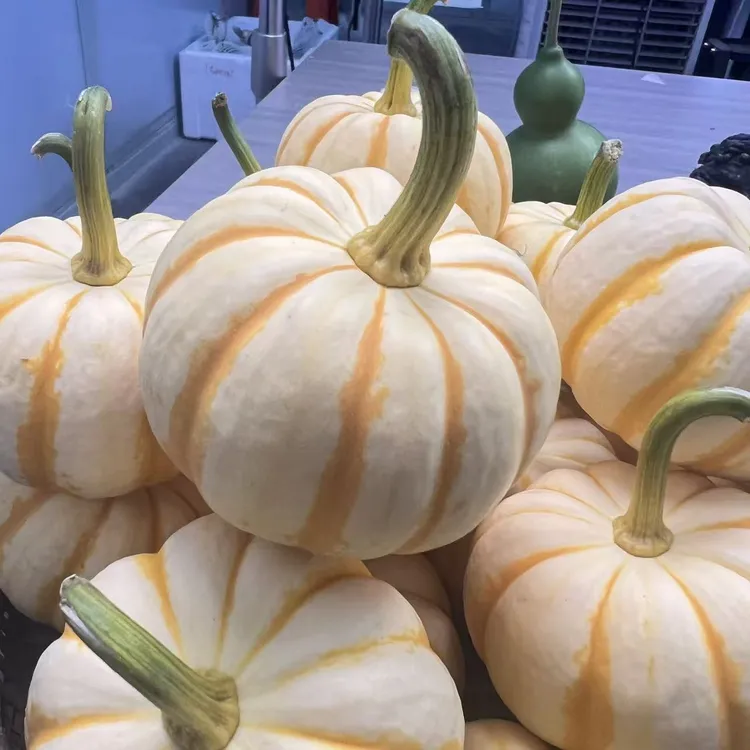 小金瓜太阳果新鲜贝贝南瓜适合孕妇作辅食