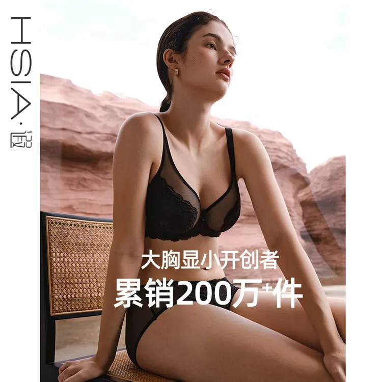 HSIA遐倾城之恋Plus内衣大胸显小性感蕾丝超薄透气全罩杯文胸罩D