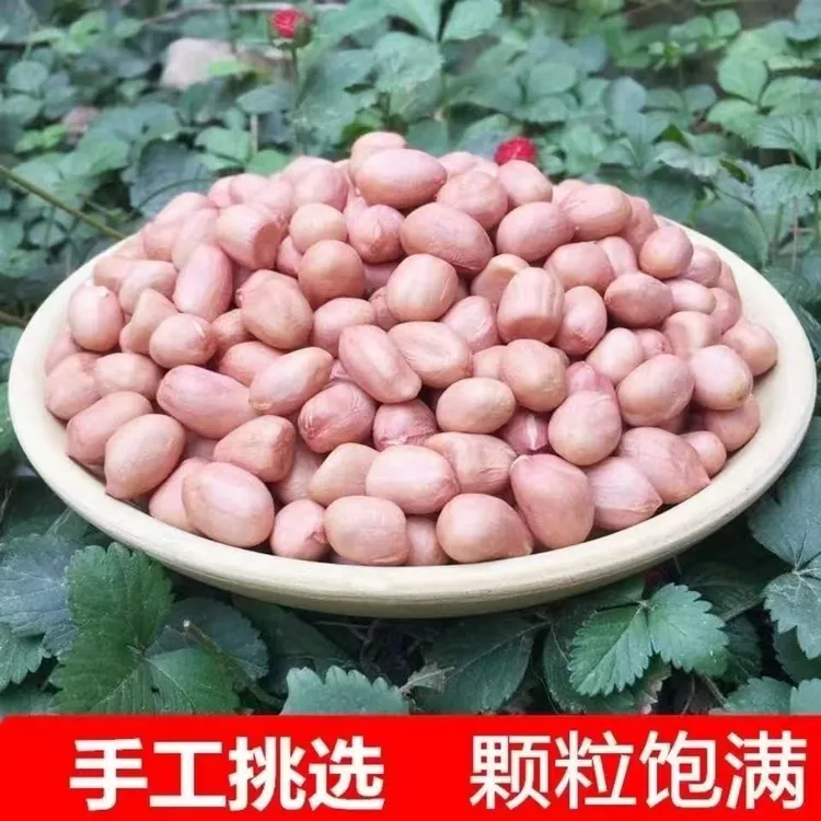 25年新生花生米白沙农家优质榨油新货大粒特大饱满真空包邮发货