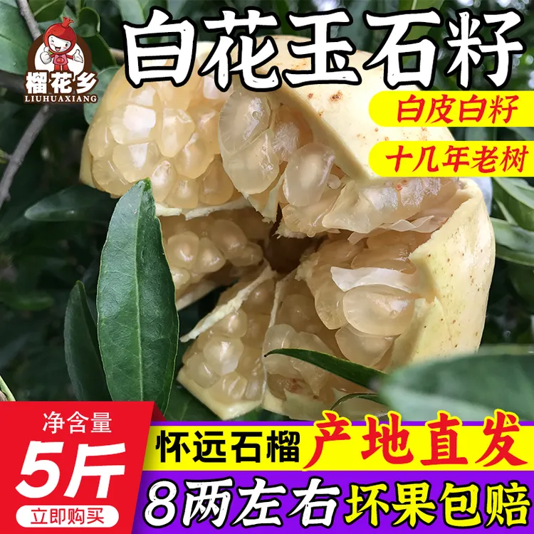 榴花乡安徽特产怀远石榴白花玉石籽当季新鲜水果包邮薄皮新鲜5斤
