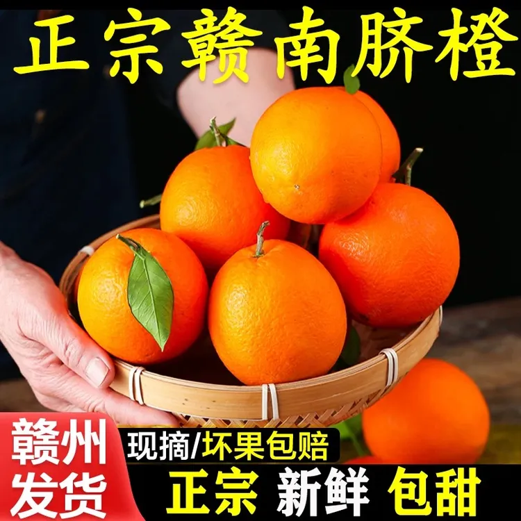 现摘正宗赣南脐橙赣州产地直发