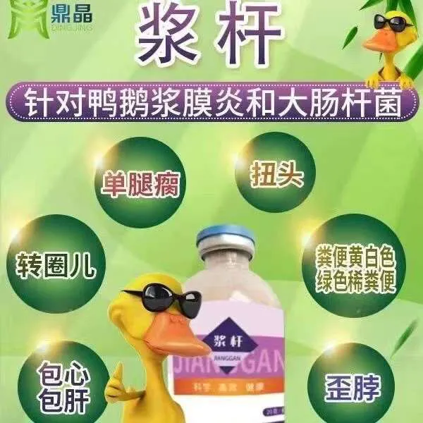 浆杆 浆膜炎大肠杆菌专用 包心包肝一瓶管3000只，连用两天