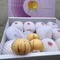 【鲜果速送】喜美树熟人参果