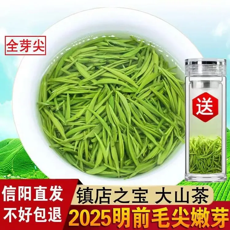 东霖春信阳毛尖2025新茶明前正宗嫩芽毛尖茶叶绿茶散装手工茶250g