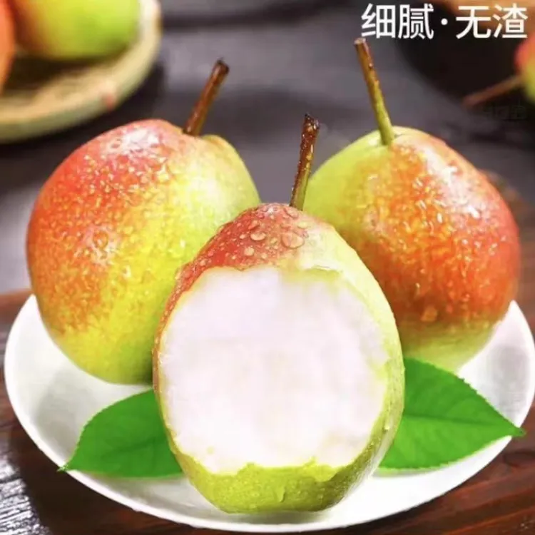 【净重4.5斤】正宗特甜香梨冰淇淋梨香甜头茬现摘现发应季水果