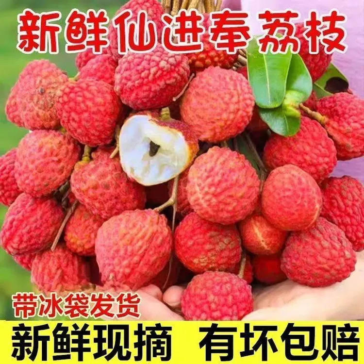 仙进奉荔枝正宗广西麻垌新鲜现摘多汁当季整箱发京东空运冷链包邮