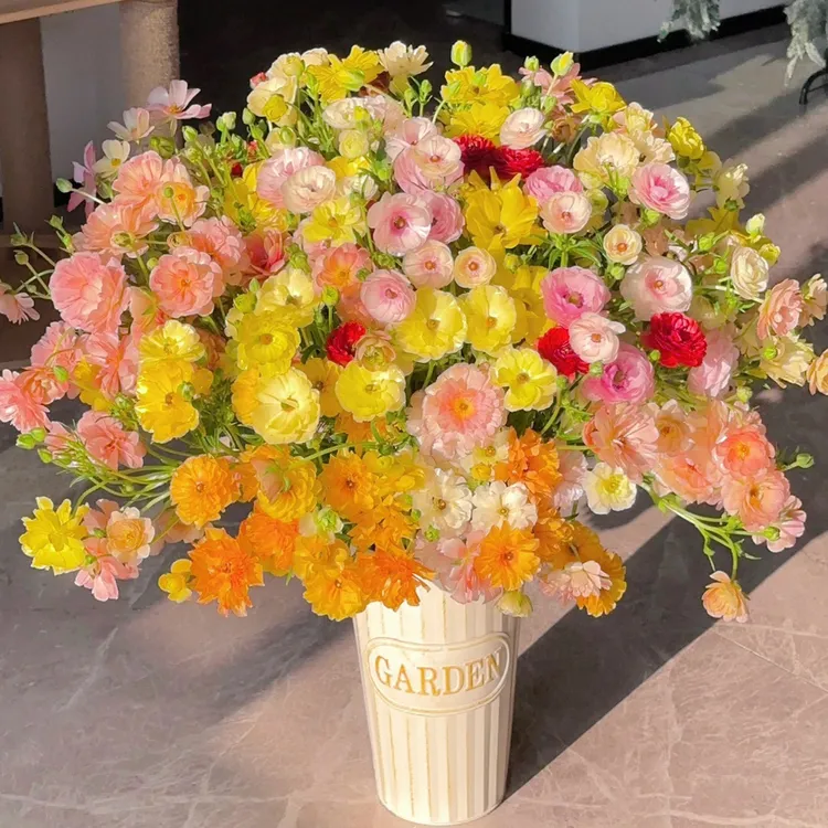 【蝴蝶洋牡丹重瓣】可发新疆西藏北方/冬季花材/可包邮