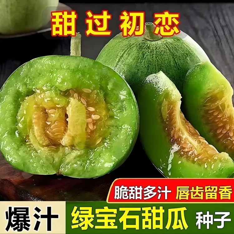 【绿宝石甜瓜种子】家庭阳台小院四季种植盆栽地栽易种易活