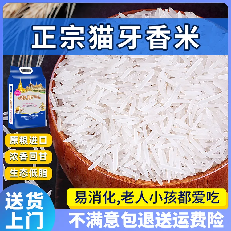 柬埔寨猫牙米原粮长粒香米优质产地新鲜现磨真空包装5斤新米大米
