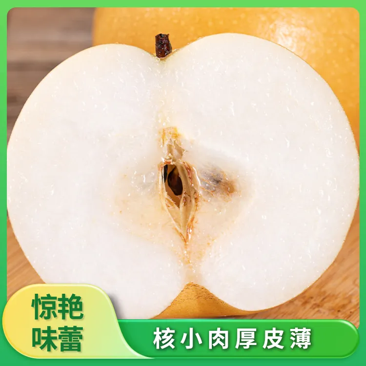 秋月梨新鲜现摘现发脆甜多汁当季水果精品送礼果园现发