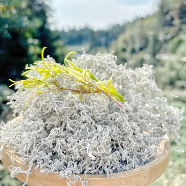 （龙须嫩芽尖）2025莓茶湘西永顺土家原生态高山藤茶张家界恩施