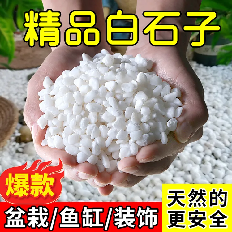 天然白石子庭院铺路鹅卵石白色石子颗粒小白石头阳台造景观小鱼缸
