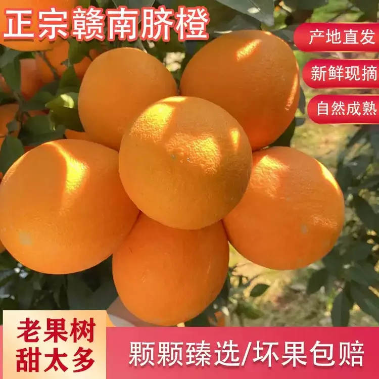 【赣南脐橙】正宗江西赣州原产地九甜一酸(二级果.有花皮.口感一样）