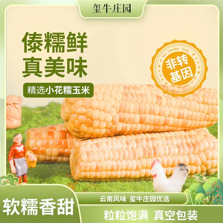 【升级3.0当季鲜食玉米】西双版纳小花糯软糯香甜真空现摘750g