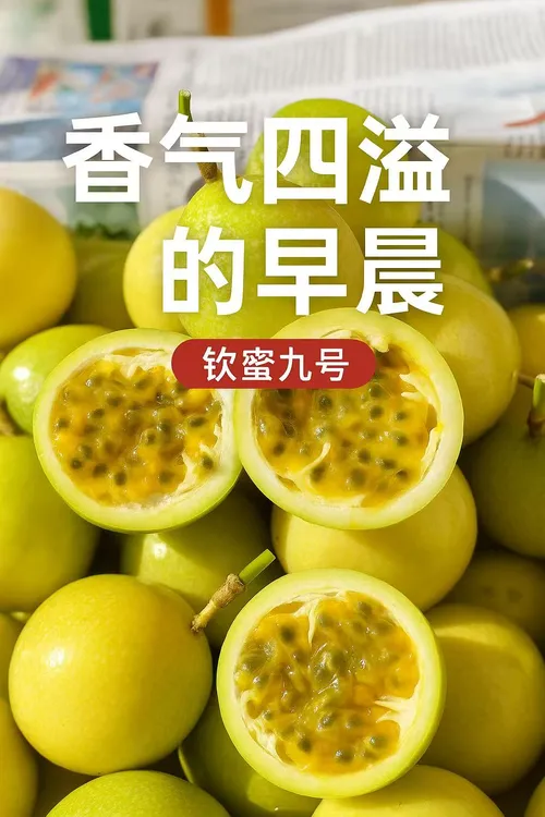广西钦蜜9号黄金百香果营养丰富VC清甜新鲜水果现摘  轻微花皮