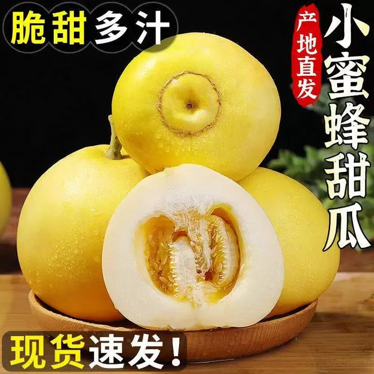 [助农]山东小蜜蜂甜瓜小蜜罐甜瓜香瓜爆甜应季水果新鲜现摘星甜20