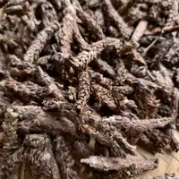 天然~夏枯草 无硫