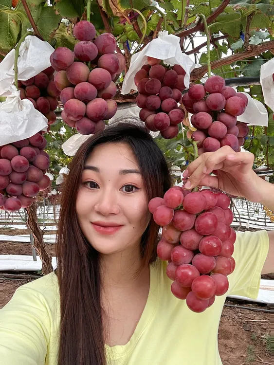 （顺丰礼盒）四川大凉山妮娜皇后3斤/5斤酒香玫瑰孕妇水果高端爆汁