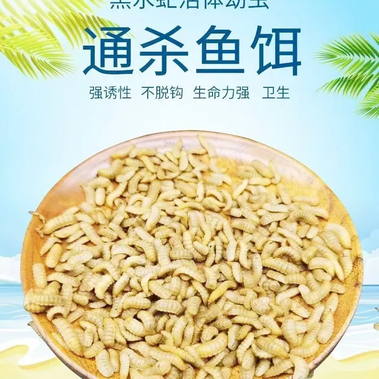 【当天现发】高蛋白鱼饵钓鱼幼虫鲫鱼鲶鱼罗飞鲤鱼翘嘴黄辣丁通杀饵