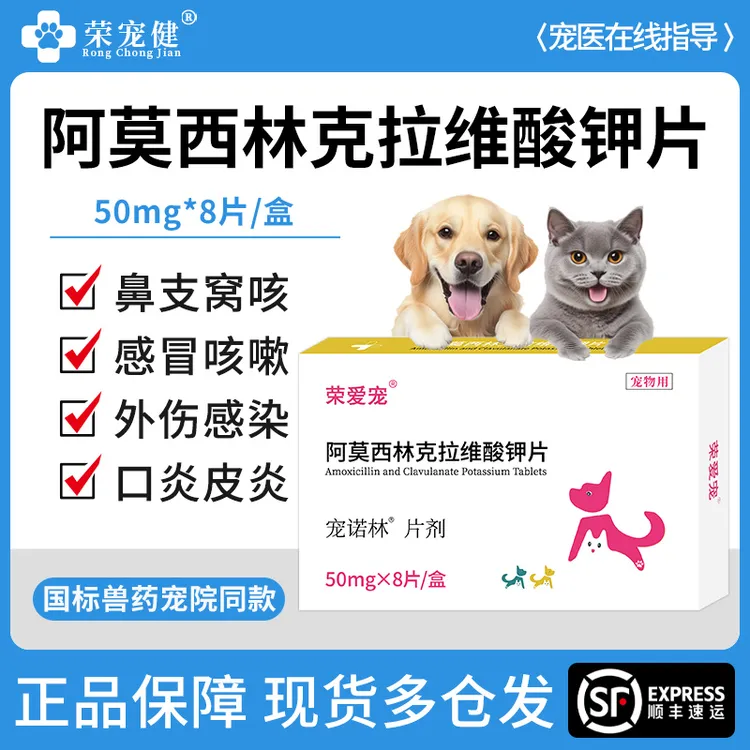 宠物消炎片狗狗猫咪阿莫西林克拉维酸钾猫鼻支窝咳感冒药肺炎咳嗽