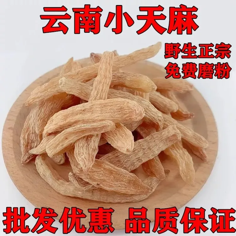 【宠粉福利品】野生小天麻10根（30克左右）正宗云南昭通小草坝小天麻