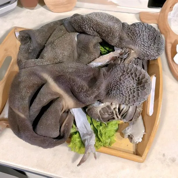 （全熟整肚不切）整羊肚精品羊杂草原美食全熟无肝羊杂汤羊肚羊肠