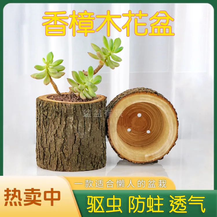 香樟木花盆花瓶多肉花盆原木花盆木头花盆多肉盆花盆原木实木花盆