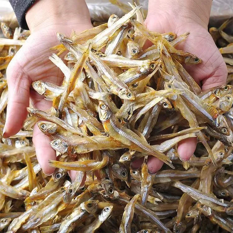【冲量特价】公干鱼干白公鱼美味小鱼干海鲜干货海燕白帆鱼咸鱼干