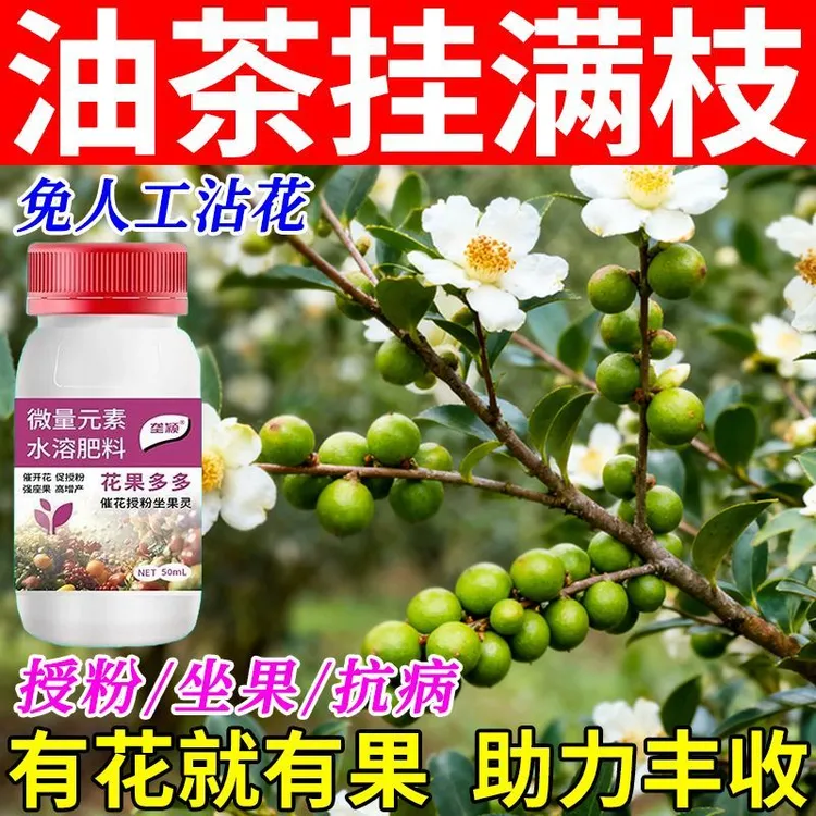 油茶树保花保果专用肥料果树防落裂果掉果素催花授粉药坐果水溶肥