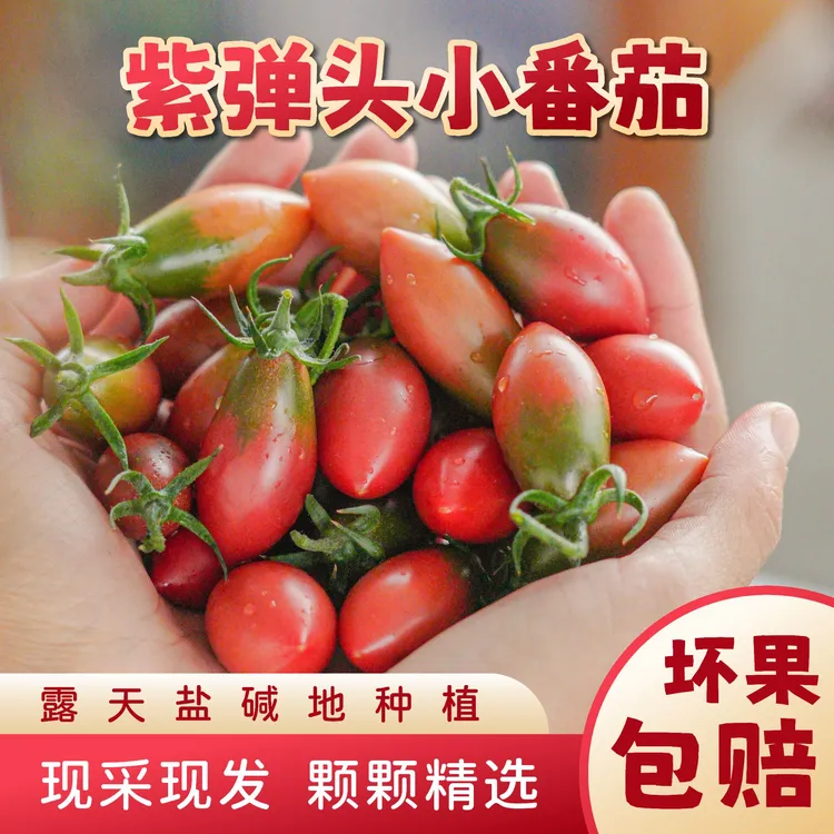 【京东】盐碱地紫弹头小番茄圣女果子弹头新鲜现摘产地直发当季水果商品图