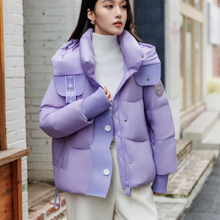 2025新款厚款连帽立领短款蓬松保暖潮流休闲极简风羽绒服-E086