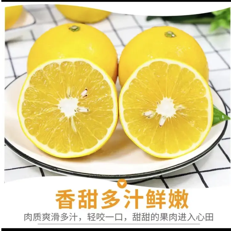 福建爆汁葡萄柚 清甜爆汁 4.5-5斤产地直发应季水果